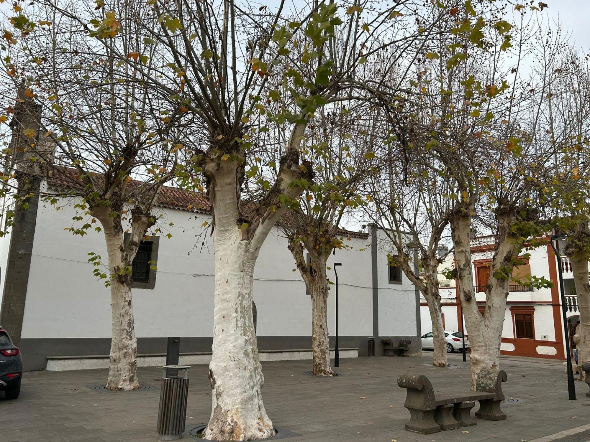 Vivienda Alpa Fontanales Apartamento Agua de Fontanales Exterior foto